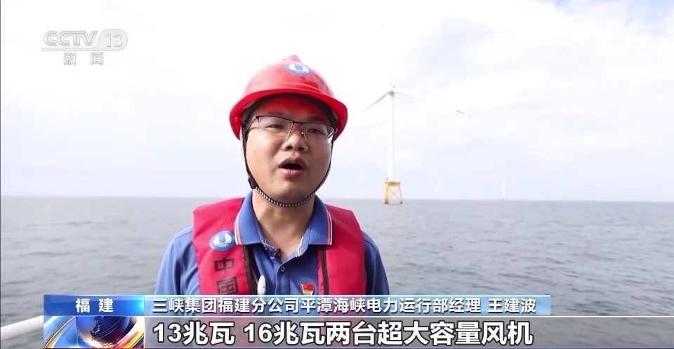 为什么ag下大注就死